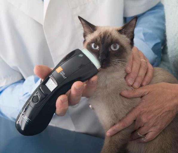 B-Cure Laser VET Lääkintälaser - Image 3