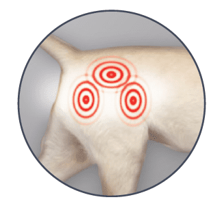 B-Cure laser lonkan nivelrikko